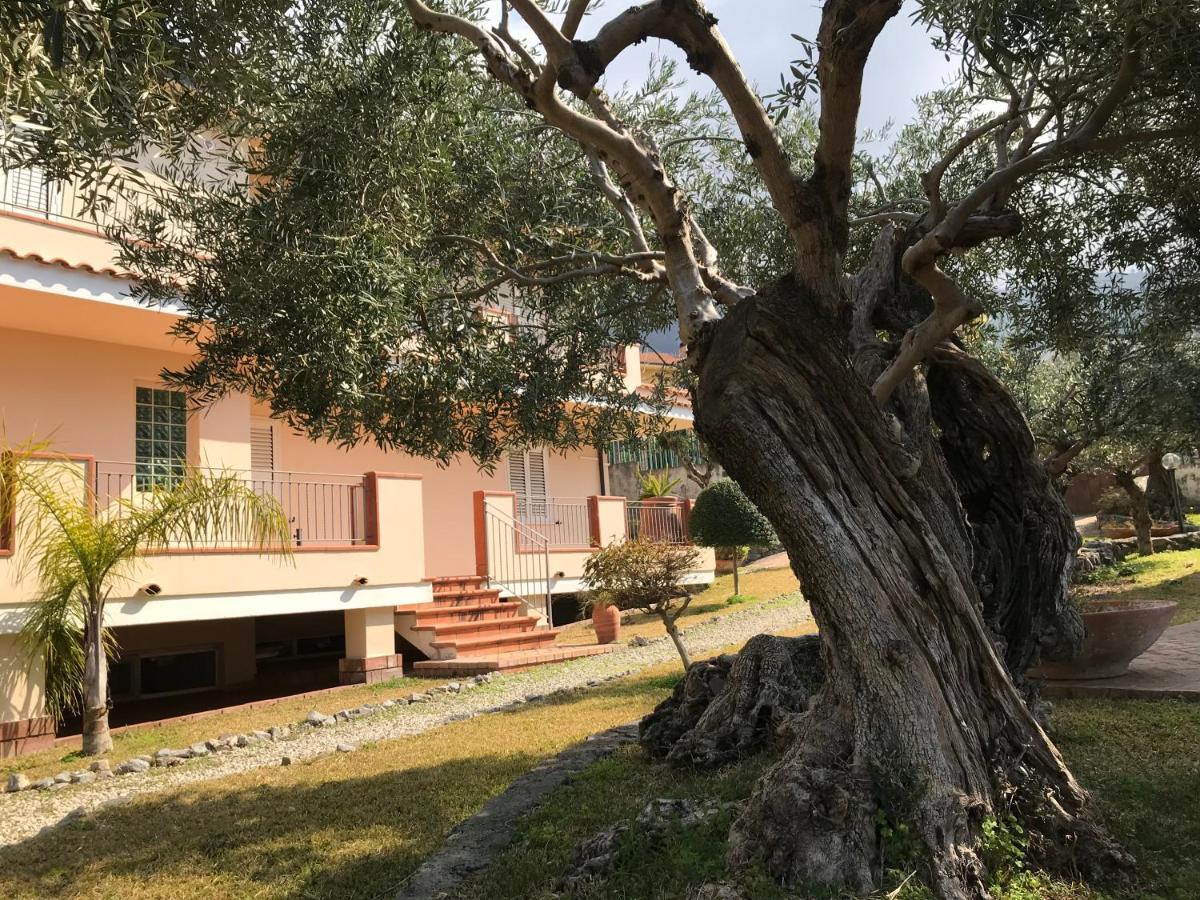 B&B Villa Degli Ulivi Praia a Mare Exterior foto