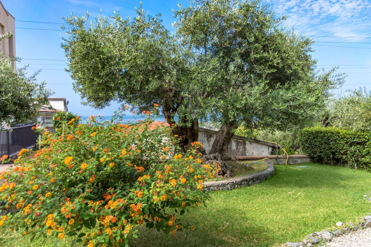 B&B Villa Degli Ulivi Praia a Mare Exterior foto