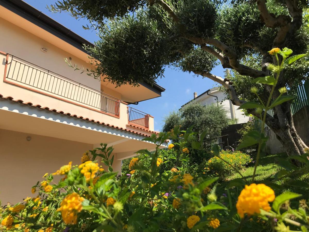 B&B Villa Degli Ulivi Praia a Mare Exterior foto