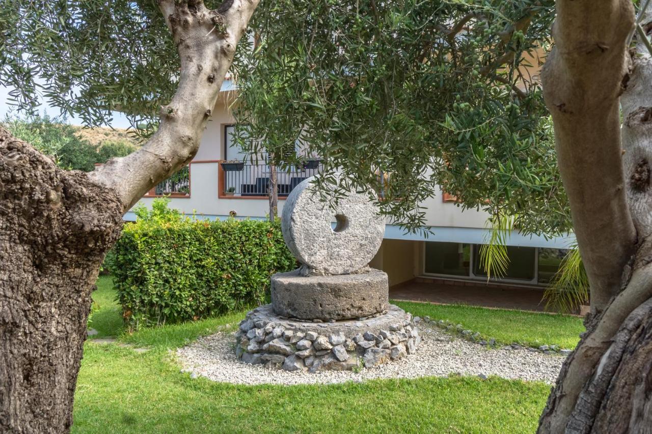 B&B Villa Degli Ulivi Praia a Mare Exterior foto